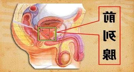 前列腺炎的症状表现，前列腺炎的症状表现概览